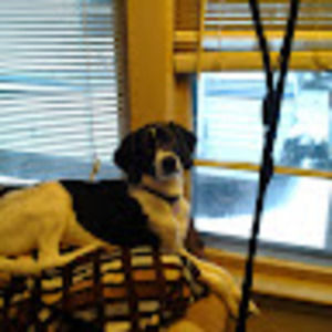 Meet your Posher, Donna